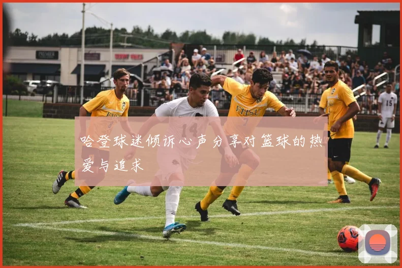 哈登球迷倾诉心声分享对篮球的热爱与追求